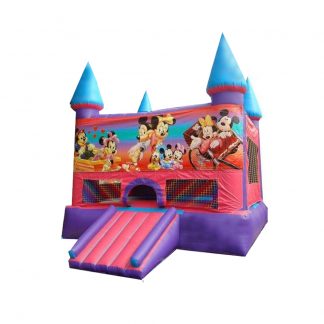 Bounce House Purple & Blue