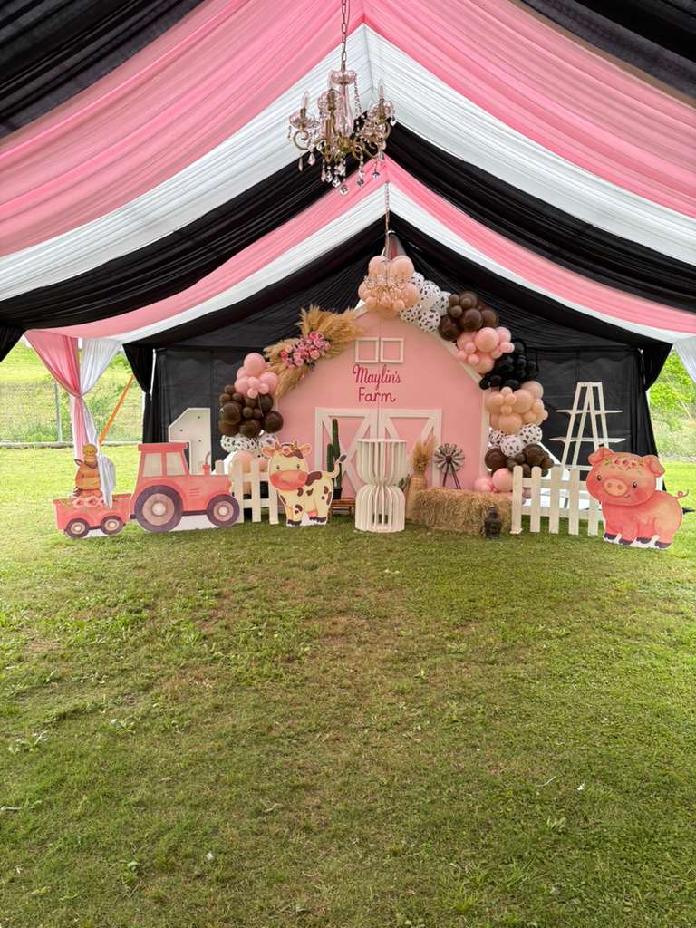 Custom event decoration setup with themed backdrop, draping and chandelier